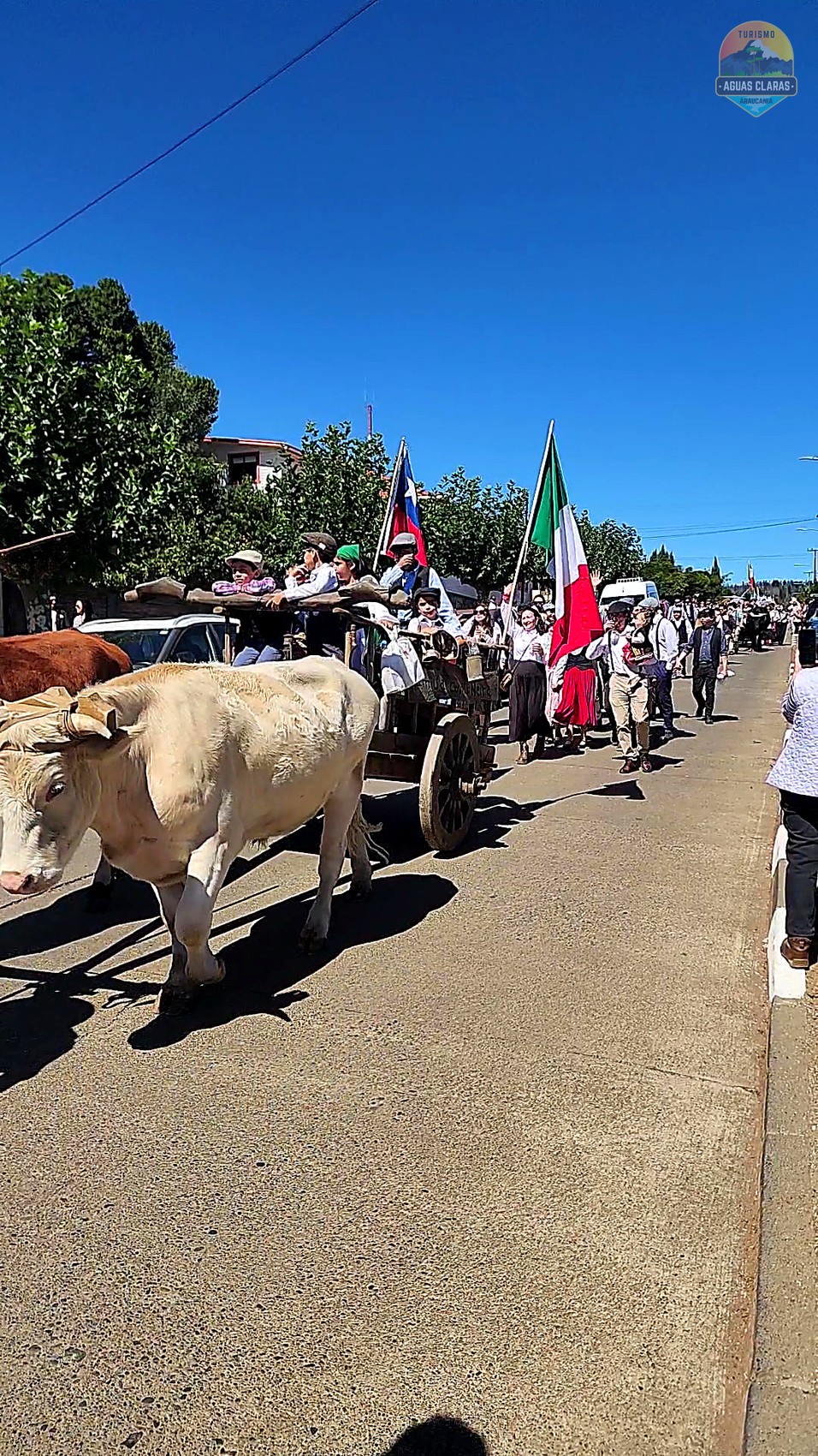 Carreta típica en la fiesta de La Sagra, Capitán Pastene