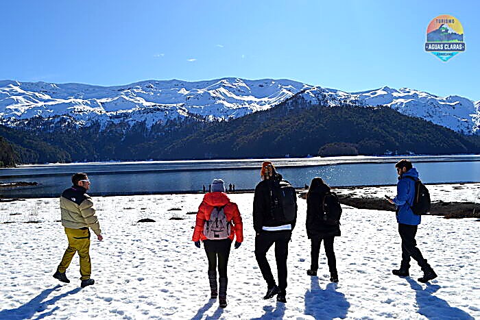 Grupo de visitantes caminando por un sendero nevado en el Parque Nacional Conguillío