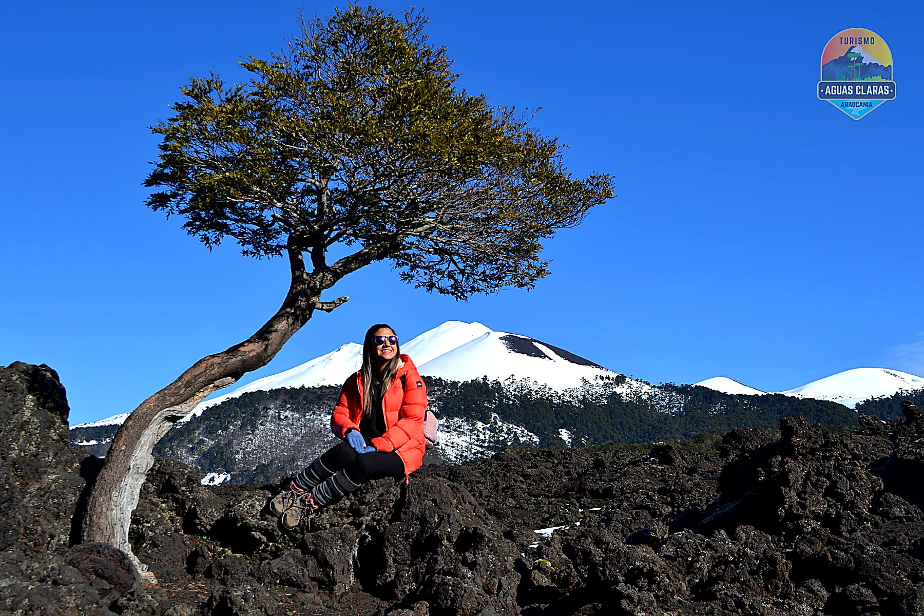 Volcán Llaima visto desde el Parque Nacional Conguillío