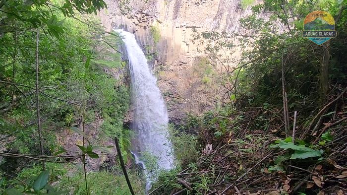Cascada Trapalco cayendo entre columnas basálticas cubiertas de musgo